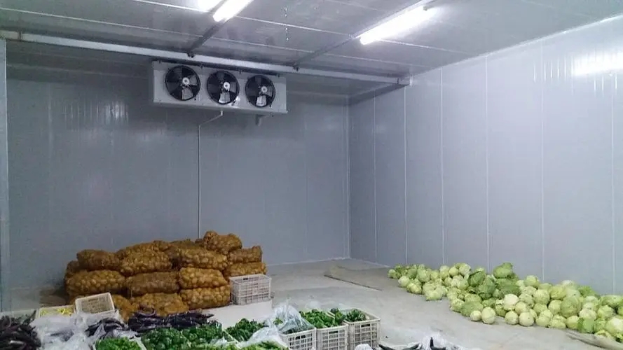 u=3292771314,2246673416&fm=253&fmt=auto&app=138&f=JPEG.webp.jpg u=3292771314,2246673416&fm=253&fmt=auto&app=138&f=JPEG.webp.jpg