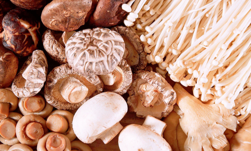 00d239dc3478e8ab0fd83402112f3872.png 00d239dc3478e8ab0fd83402112f3872.png